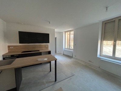 IMMEUBLE A VENDRE - ST ETIENNE BELLEVUE - 149 m2 - 220000€