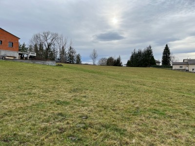 TERRAIN A VENDRE - ST JULIEN CHAPTEUIL - 824 m2 - 54900€