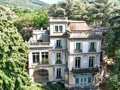CHATEAU A VENDRE - LE CHAMBON FEUGEROLLES - 570 m2 - 680000€