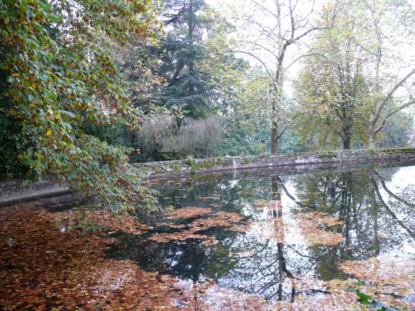 CHATEAU - LE CHAMBON FEUGEROLLES - 570 m2 - VENDU