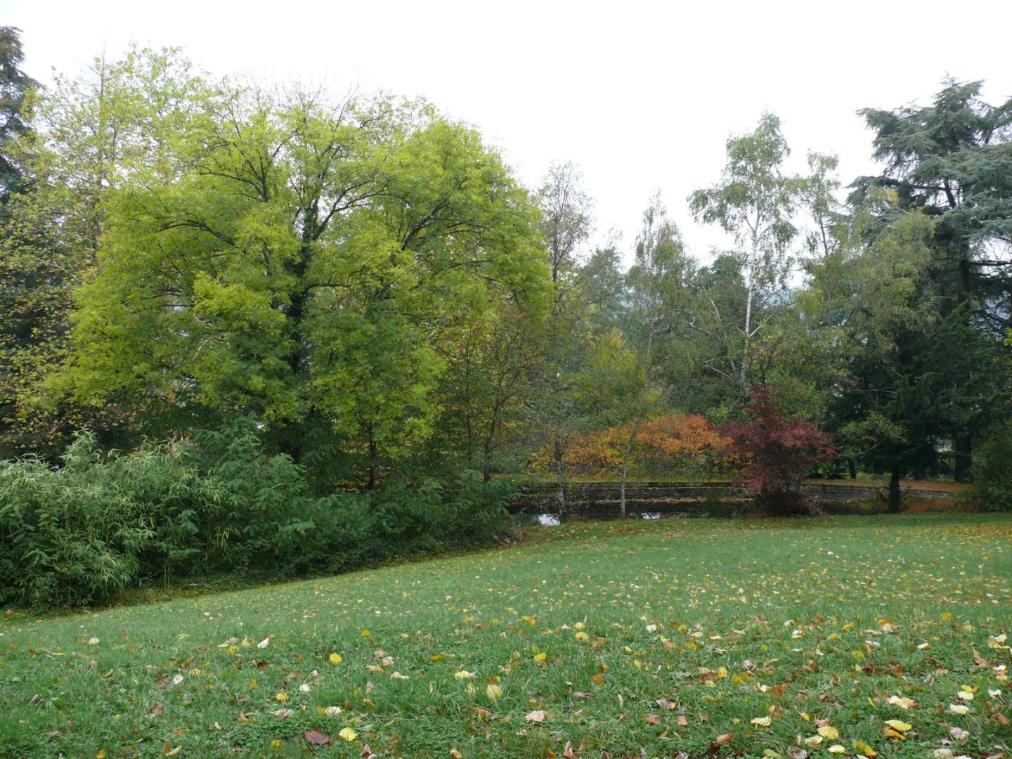 CHATEAU - LE CHAMBON FEUGEROLLES - 570 m2 - VENDU