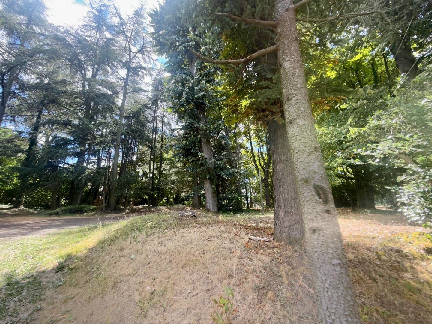 CHATEAU - LE CHAMBON FEUGEROLLES - 570 m2 - VENDU