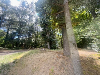 CHATEAU A VENDRE - LE CHAMBON FEUGEROLLES - 570 m2 - 680000€