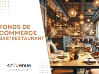 FONDS DE COMMERCE A CEDER - BAR - BRASSERIE - ST ETIENNE CENTRE VILLE - 235 m2 - 477 000 €