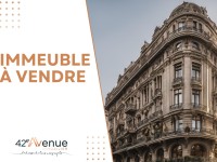 IMMEUBLE - ST ETIENNE CHATEAUCREUX - 321.26 m2 - VENDU