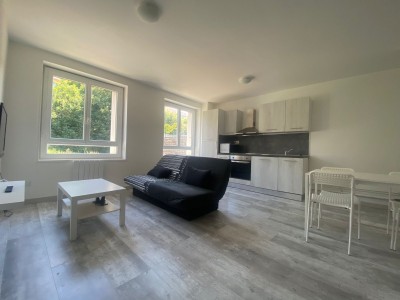 IMMEUBLE - ST ETIENNE FACULTE   CENTRE DEUX - 540 m2 - 1150000€