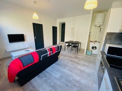 IMMEUBLE - ST ETIENNE FACULTE   CENTRE DEUX - 540 m2 - 1150000€