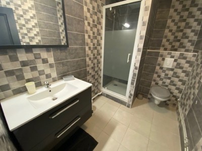 IMMEUBLE - ST ETIENNE FACULTE   CENTRE DEUX - 540 m2 - 1150000€
