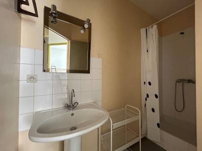 IMMEUBLE - ST ETIENNE JACQUARD - 294.35 m2 - VENDU