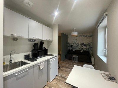 Immeuble de rapport refait  neuf A VENDRE - ST CHAMOND - 137 m2 - 404000€