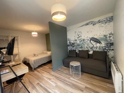 Immeuble de rapport refait  neuf A VENDRE - ST CHAMOND - 137 m2 - 404000€