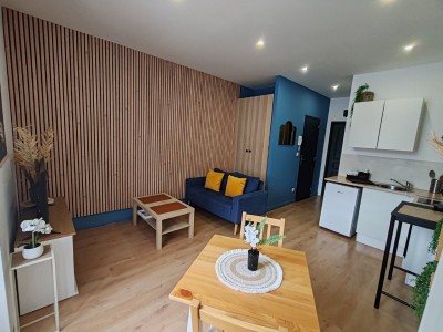 IMMEUBLE DE RAPPORT A VENDRE - ST CHAMOND - 200 m2 - 430000€