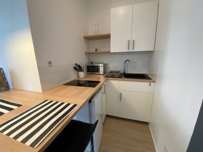IMMEUBLE DE RAPPORT - ST ETIENNE BELLEVUE - 246.21 m2 - VENDU