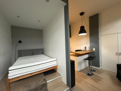 IMMEUBLE DE RAPPORT - ST ETIENNE BELLEVUE - 246.21 m2 - VENDU