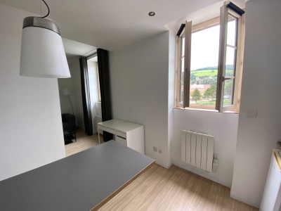 IMMEUBLE DE RAPPORT - ST ETIENNE BELLEVUE - 246.21 m2 - VENDU