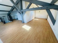 T1 sous les toits A LOUER - ST ETIENNE FOURNEYRON/REPUBLIQUE - 49.78 m2 - 495 &euro; charges comprises par mois