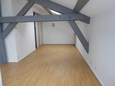 T1 sous les toits A LOUER - ST ETIENNE FOURNEYRON/REPUBLIQUE - 49.78 m2 - 489�&euro; charges comprises par mois