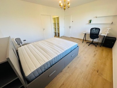 MAISON NEUVE A LOUER - ST PRIEST EN JAREZ PROCHE CHU NORD - 137.92 m2 - 2 400 &euro; charges comprises par mois