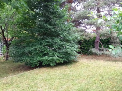 MAISON A VENDRE - ANDREZIEUX BOUTHEON - 90 m2 - 252 000 €