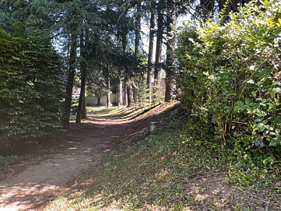 MAISON A VENDRE - AUREC SUR LOIRE - 253 m2 - 325000€