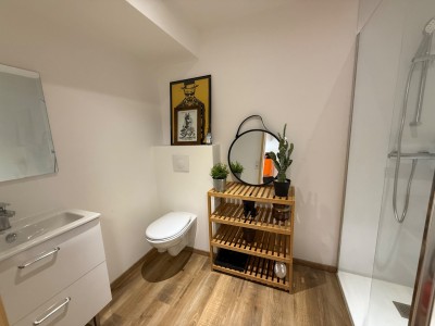 Villa de 2017 A VENDRE - CELLIEU - 145.52 m2 - 365 000 €