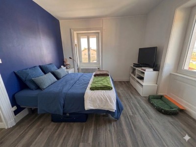 MAISON A VENDRE - MONISTROL SUR LOIRE - 225 m2 - 399 000 &euro;