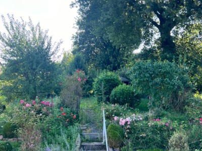 Maison avec jardin - ST CHAMOND - 97.37 m2 - 199500€