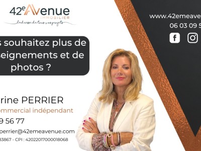 Maison de matre A VENDRE - ST ETIENNE MONTPLAISIR - 355 m2 - 835000€