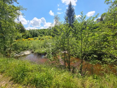 MAISON A VENDRE - ST MARCELLIN EN FOREZ Pont du Diable - 81.85 m2 - 139000€