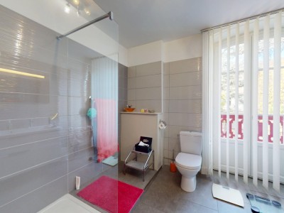 MAISON A VENDRE - ST PAUL EN CORNILLON - 269.02 m2 - 500 000 &euro;