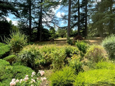 PROPRIETE AVEC TERRAIN CONSTRUCTIBLE A VENDRE - ST MARTIN LA PLAINE - 241 m2 - 695 000 €