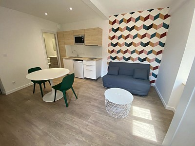 STUDIO A LOUER - MONISTROL SUR LOIRE - 19.55 m2 - 400 € charges comprises par mois