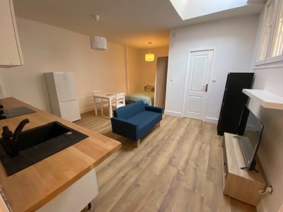 STUDIO - ST ETIENNE TREFILERIE - 33.61 m2 - LOUÉ