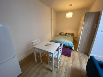 STUDIO - ST ETIENNE TREFILERIE - 33.61 m2 - LOUÉ