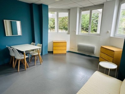 STUDIO A LOUER - ST ETIENNE BELLEVUE/JOMAYERE - 33.1 m2 - 495€ charges comprises par mois