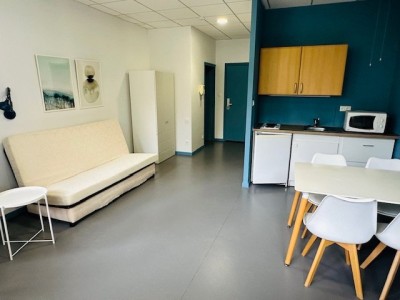STUDIO A LOUER - ST ETIENNE BELLEVUE/JOMAYERE - 33.1 m2 - 495€ charges comprises par mois
