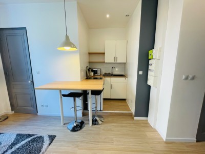 STUDIO - ST ETIENNE BELLEVUE - 18.51 m2 - LOUÉ