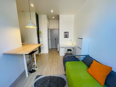 STUDIO - ST ETIENNE BELLEVUE - 18.51 m2 - LOUÉ