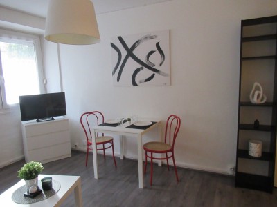STUDIO A LOUER - ST ETIENNE BELLEVUE - 24.4 m2 - 440€ charges comprises par mois