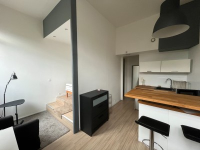 STUDIO A LOUER - ST ETIENNE BELLEVUE - 27.06 m2 - 400€ charges comprises par mois