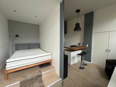 STUDIO A LOUER - ST ETIENNE BELLEVUE - 27.06 m2 - 400€ charges comprises par mois