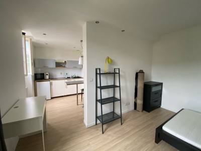 STUDIO - ST ETIENNE BELLEVUE - 29.51 m2 - LOUÉ