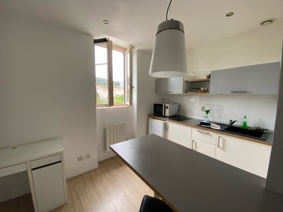 STUDIO - ST ETIENNE BELLEVUE - 29.51 m2 - LOUÉ