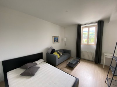 STUDIO - ST ETIENNE BELLEVUE - 29.51 m2 - LOUÉ