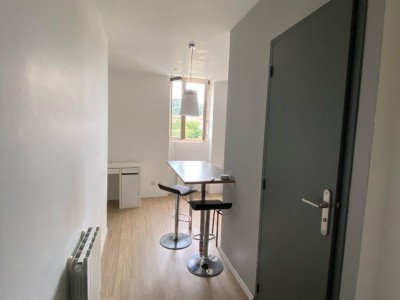 STUDIO - ST ETIENNE BELLEVUE - 29.51 m2 - LOUÉ
