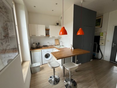 STUDIO A LOUER - ST ETIENNE BELLEVUE - 26.55 m2 - 430€ charges comprises par mois