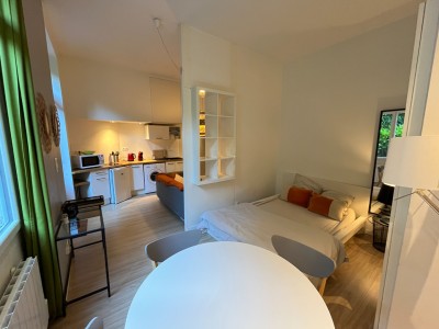 STUDIO A LOUER - ST ETIENNE BELLEVUE - 26 m2 - 430€ charges comprises par mois