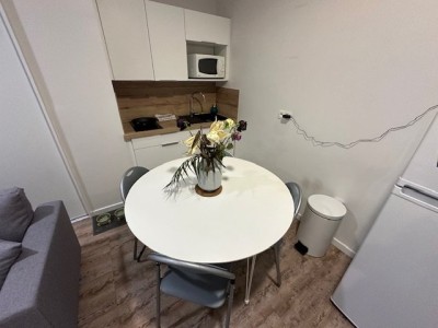 Grand Studio A LOUER - ST ETIENNE BELLEVUE/SOLAURE - 37.3 m2 - 515 € charges comprises par mois