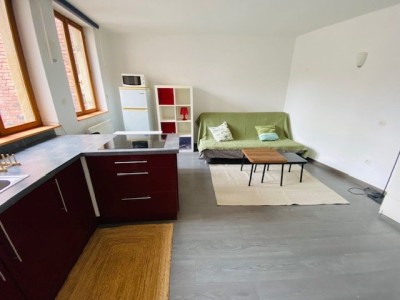 STUDIO A LOUER - ST ETIENNE CENTRE VILLE - 23.16 m2 - 360€ charges comprises par mois