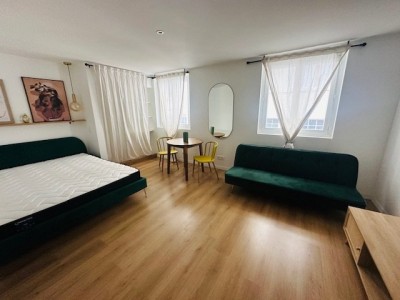 STUDIO A LOUER - ST ETIENNE CITE DESIGN / BERGSON - 29.3 m2 - 490€ charges comprises par mois